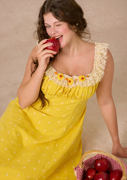Curve&Plus Little Orange Dress