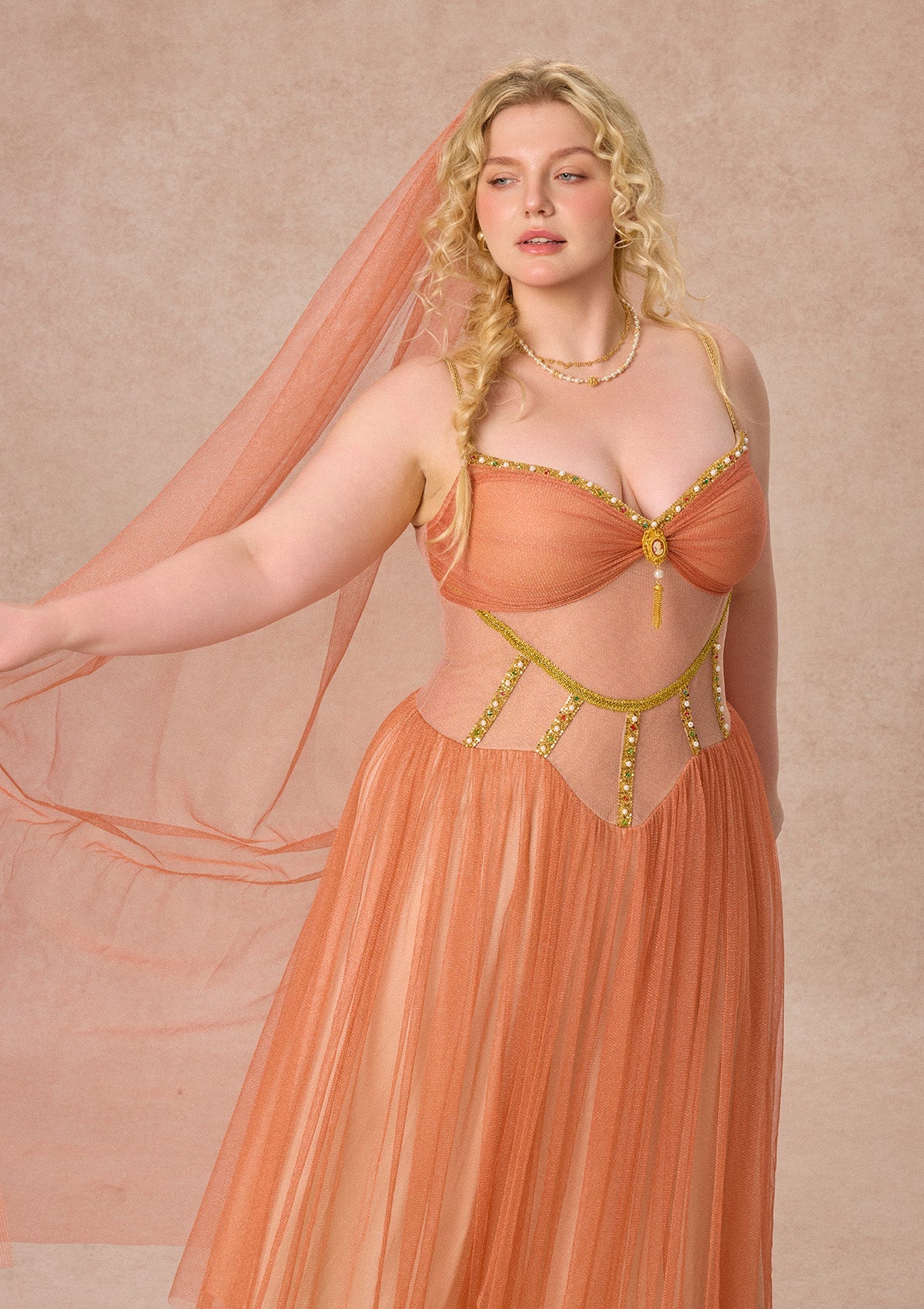 Curve&Plus Sahara Rose Corset Dress