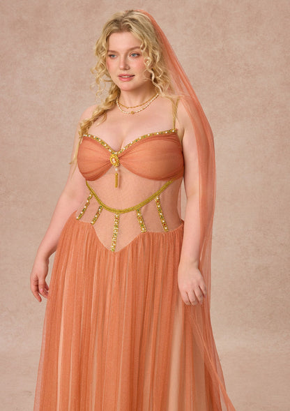 Curve&Plus Sahara Rose Corset Dress