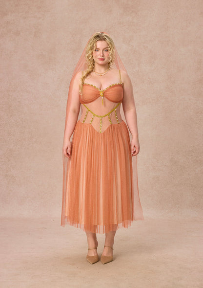 Curve&Plus Sahara Rose Corset Dress