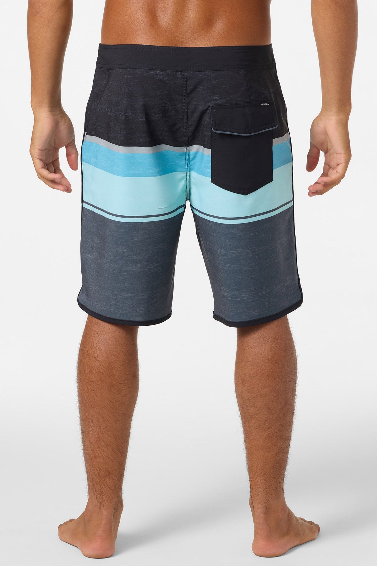 Lennox Scallop 19" Boardshorts